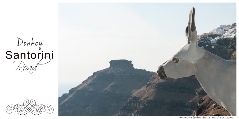 Santorini donkey