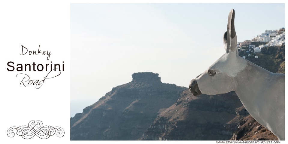 Santorini donkey