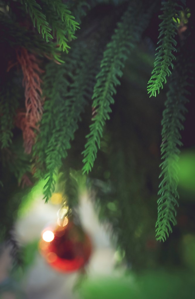 Merry Christmas and Happy New Year