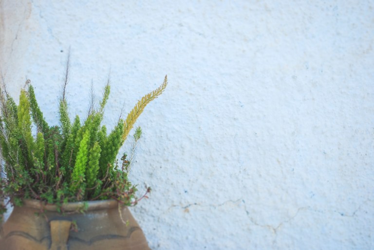 Monastery of Profitis Ilias