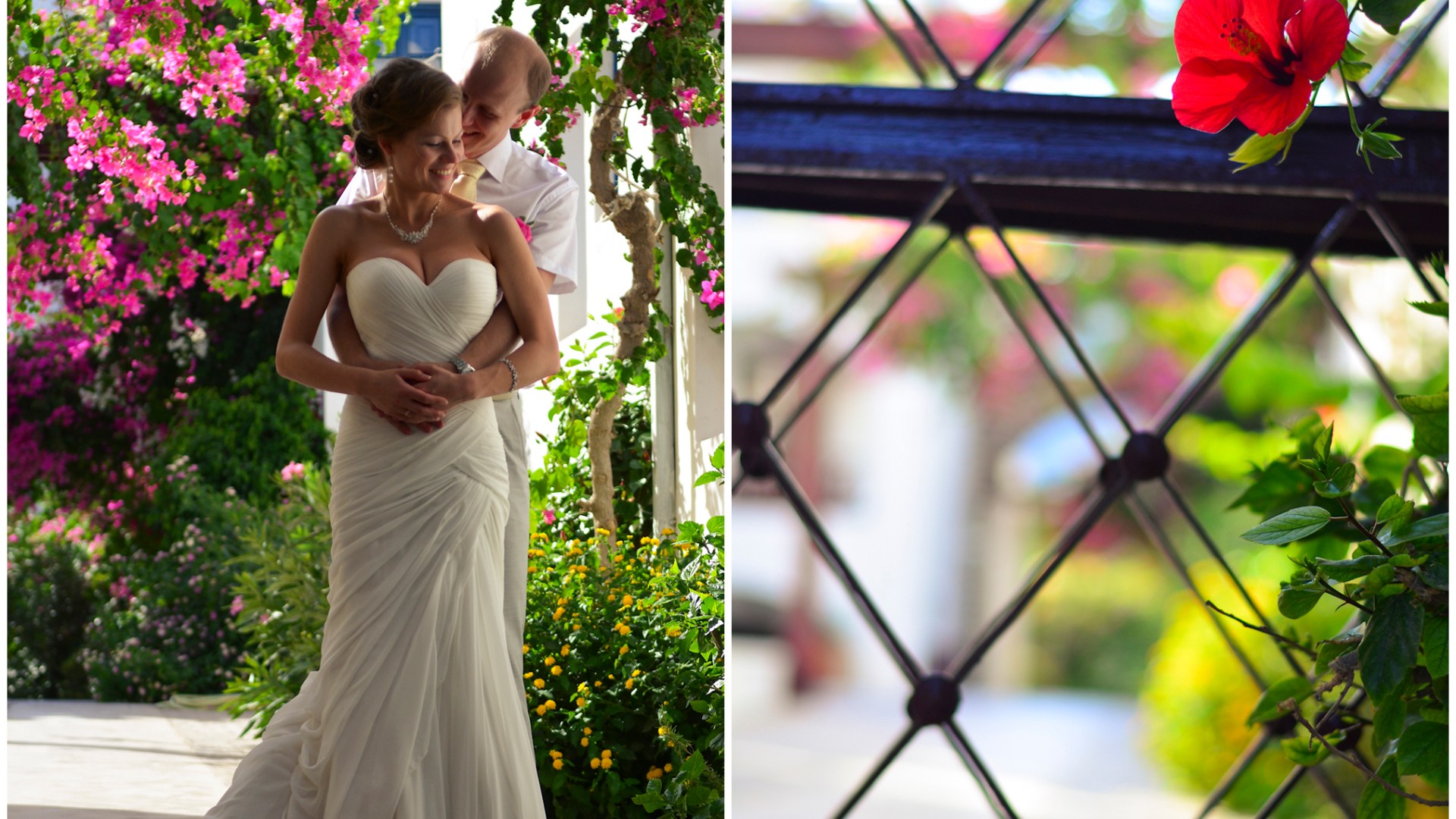 Post-wedding photo shoot