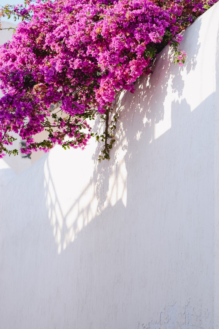 Santorini-island-agean-sea-travel-tips-greece-